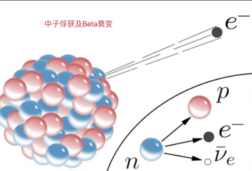 中子俘获及Beta衰变