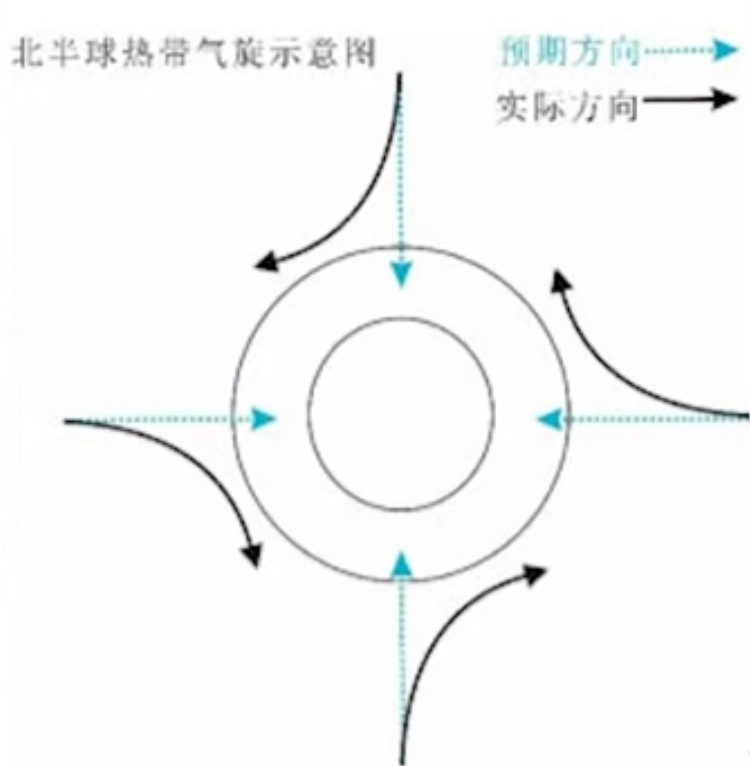 北半球热带气旋图